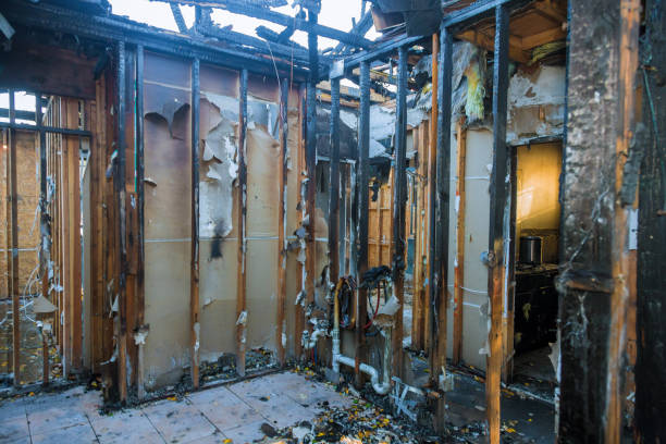 Professional Fire Damage Removal technician working in Wyoming, MN